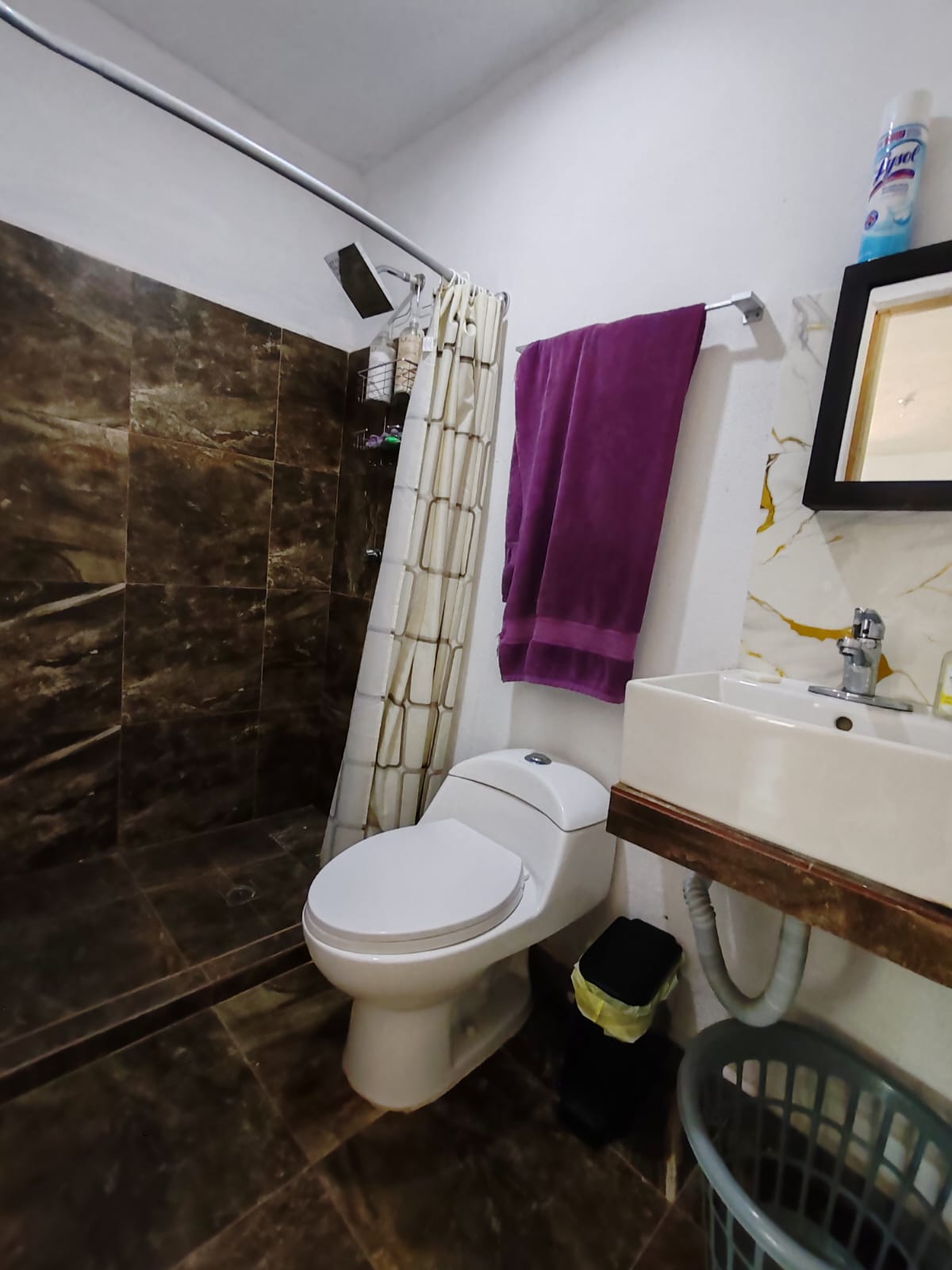 http://www.regioservicios.com/inmobiliaria/detalle/quinta-en-venta-en-montemorelos-quinta-venta-montemorelos-canoas-foto_17