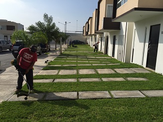 Galería 2